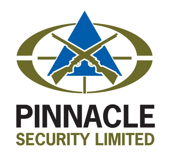 Pinnacle Logo